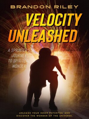 cover image of Velocity Unleashed